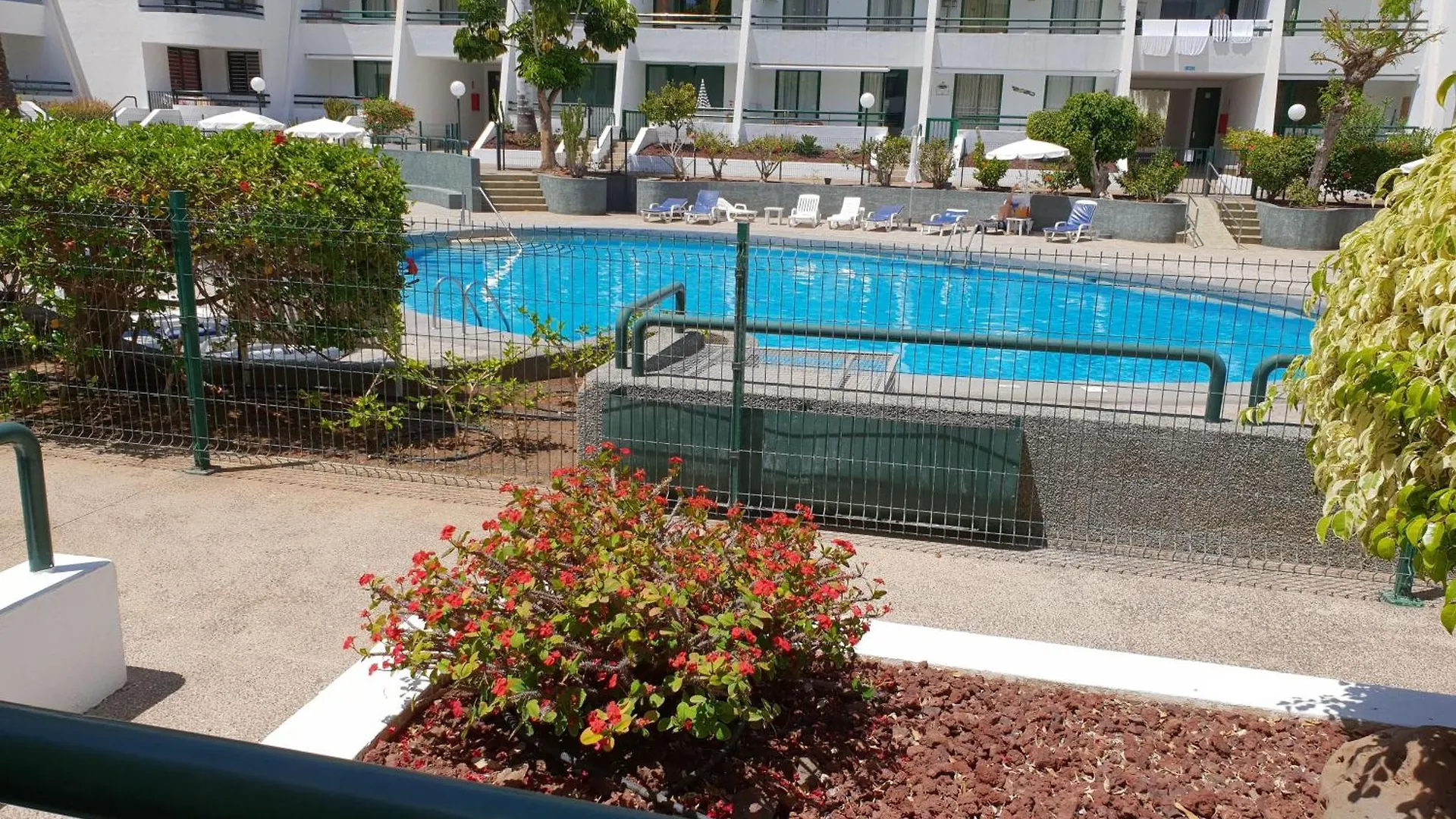 Apartment Casa Palmera 2 Mit Grosser Terrasse Playa de las Américas Espagne